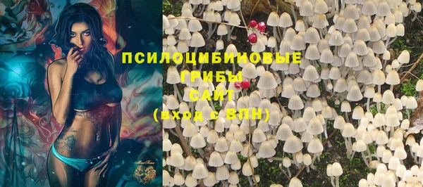 гидропоника Абаза