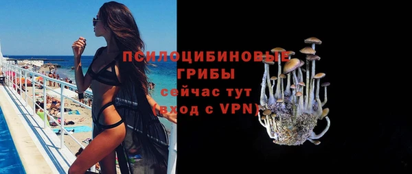 твердый Россошь