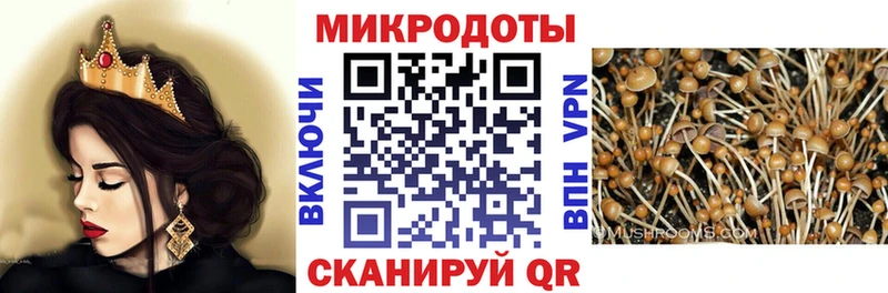 Псилоцибиновые грибы GOLDEN TEACHER купить сайты Яранск